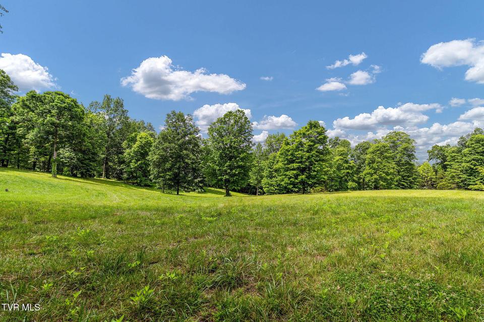 Photo #29: 393 Holt Ridge Road