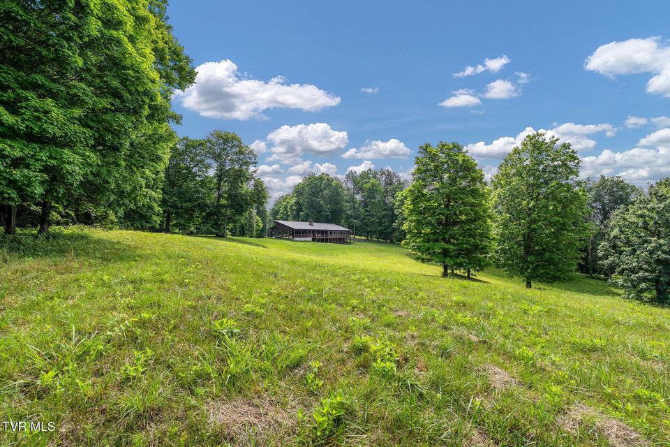 Photo #10: 393 Holt Ridge Road