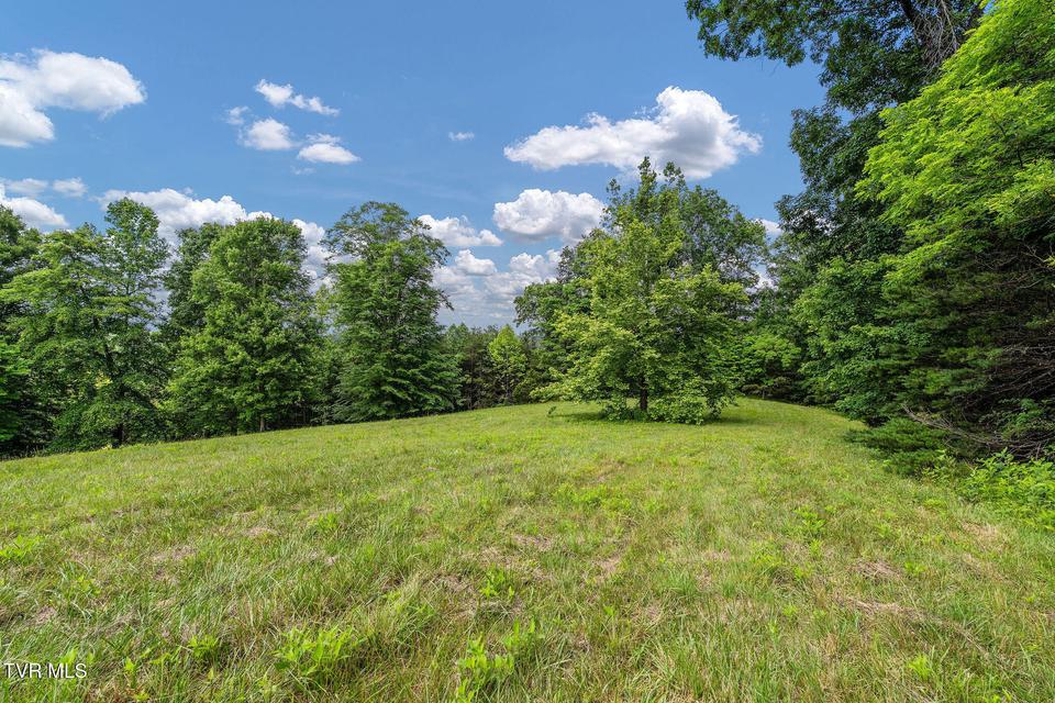 Photo #27: 393 Holt Ridge Road