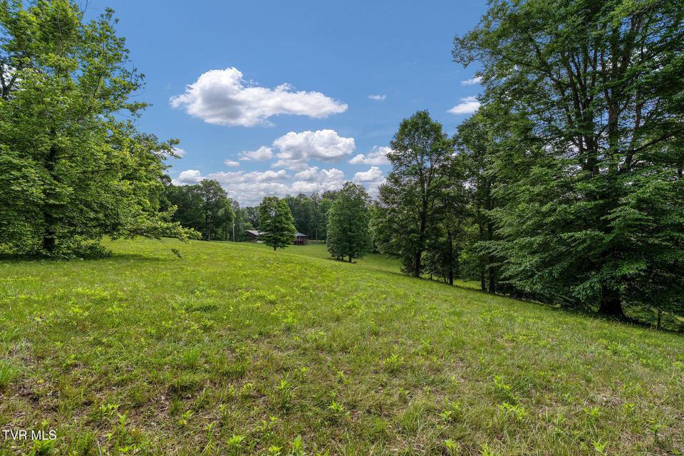 Photo #28: 393 Holt Ridge Road