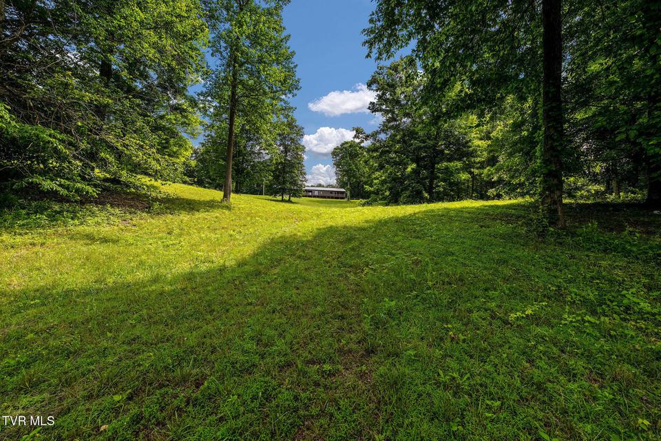 Photo #30: 393 Holt Ridge Road