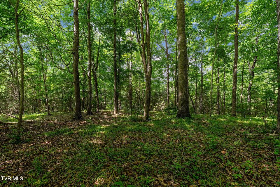 Photo #33: 393 Holt Ridge Road