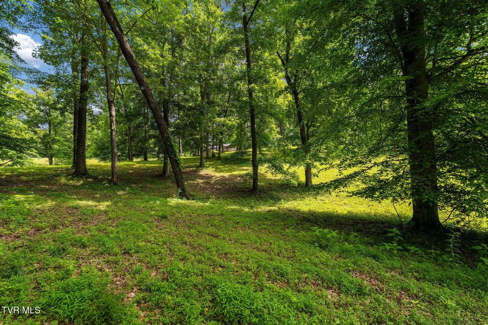 Photo #31: 393 Holt Ridge Road