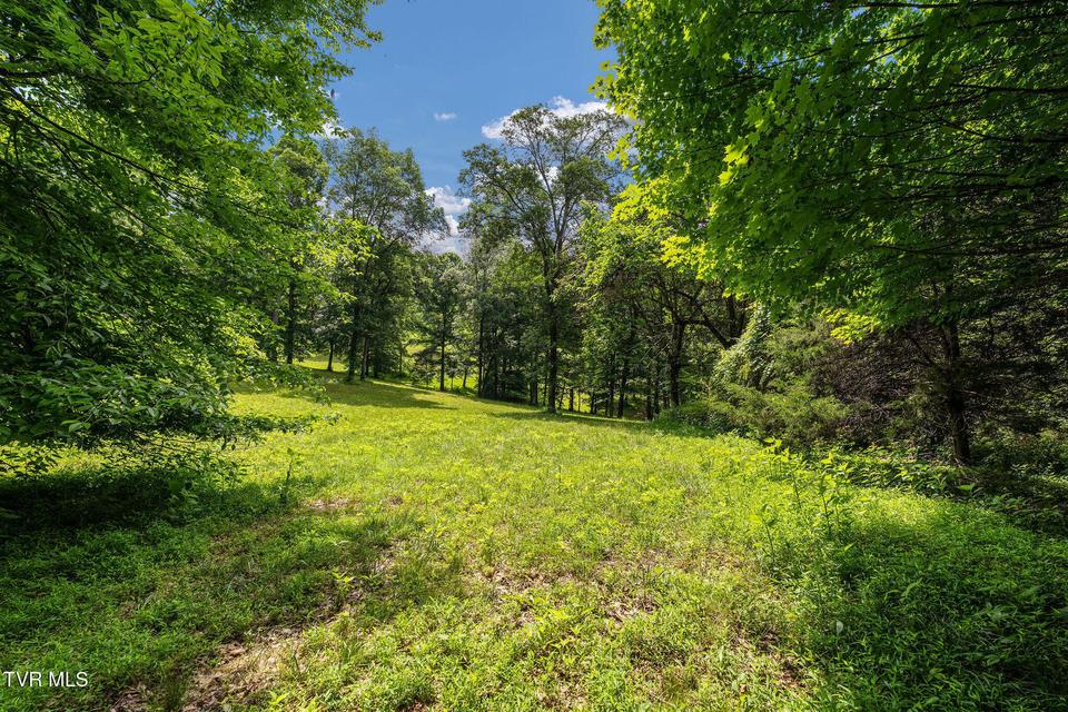 Photo #32: 393 Holt Ridge Road