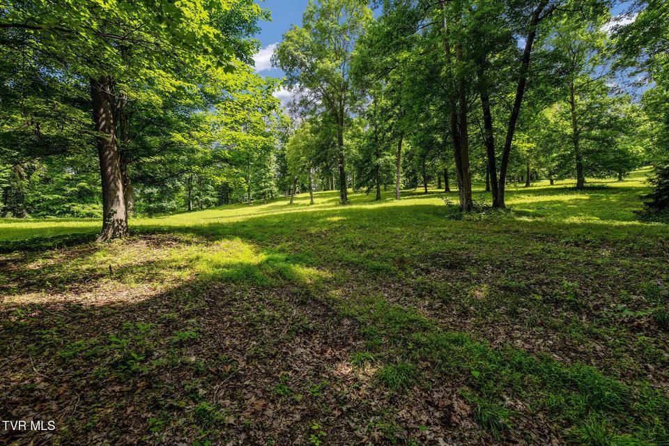 Photo #34: 393 Holt Ridge Road