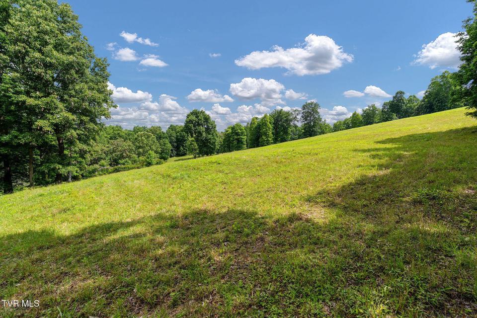 Photo #35: 393 Holt Ridge Road
