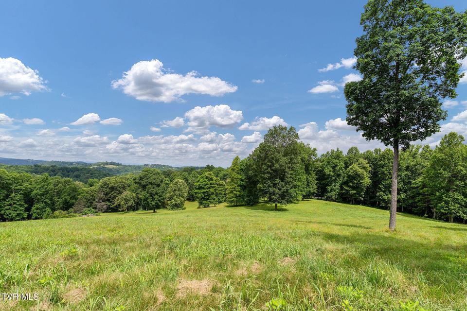 Photo #37: 393 Holt Ridge Road