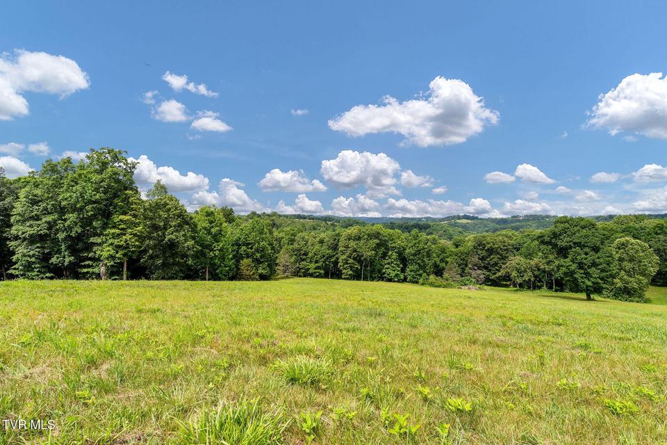 Photo #38: 393 Holt Ridge Road
