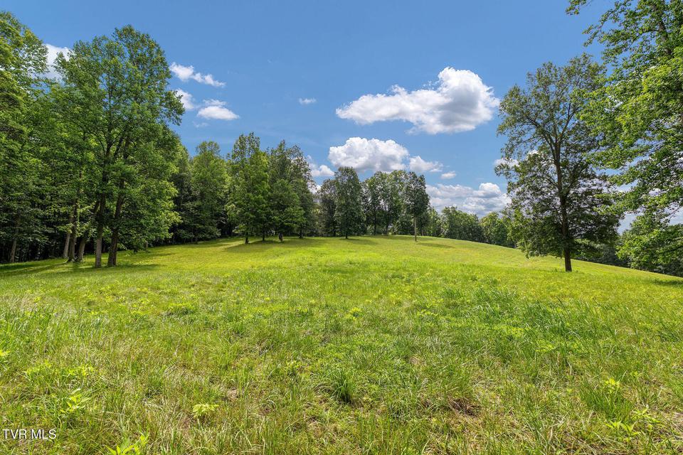 Photo #39: 393 Holt Ridge Road