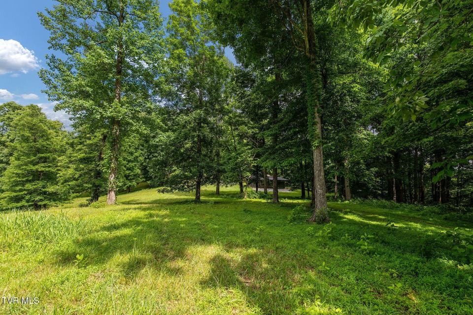 Photo #40: 393 Holt Ridge Road