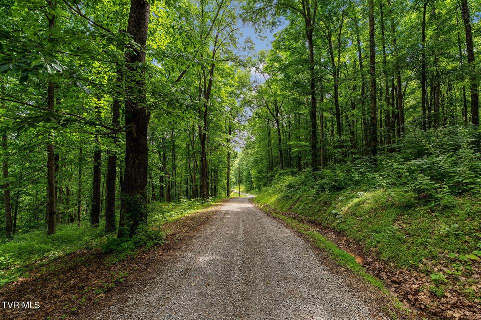 Photo #44: 393 Holt Ridge Road