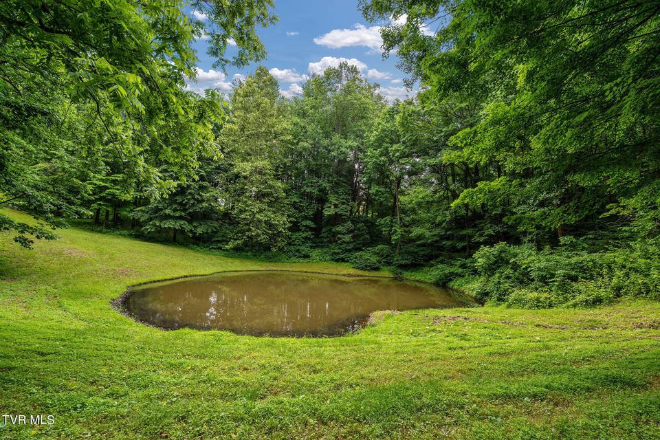 Photo #20: 393 Holt Ridge Road