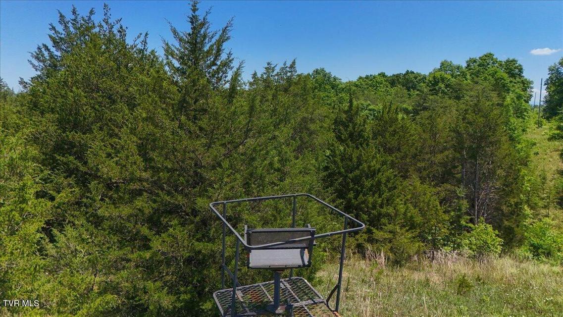 Photo #15: 5441 Fred Marshall Road