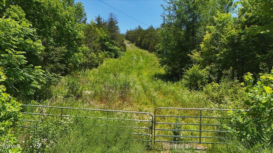 Photo #16: 5441 Fred Marshall Road