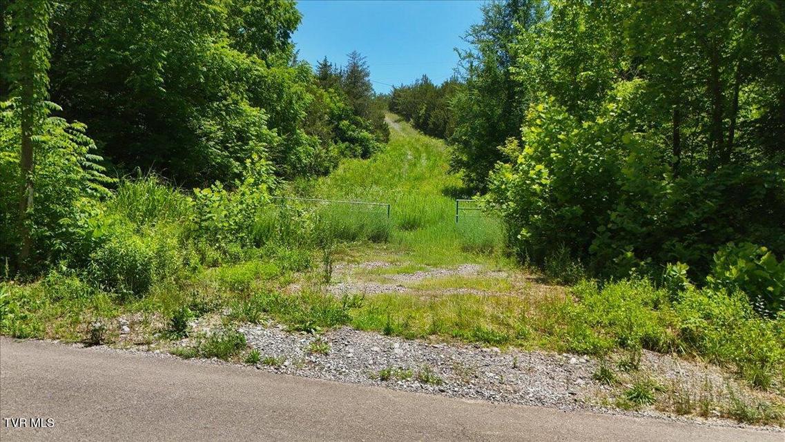 Photo #17: 5441 Fred Marshall Road