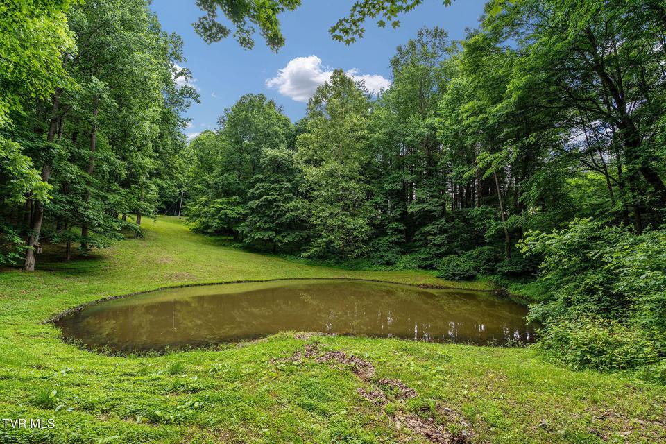 Photo #21: 393 Holt Ridge Road