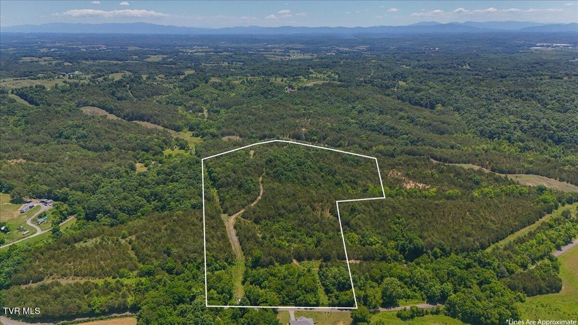 Photo #8: 5441 Fred Marshall Road