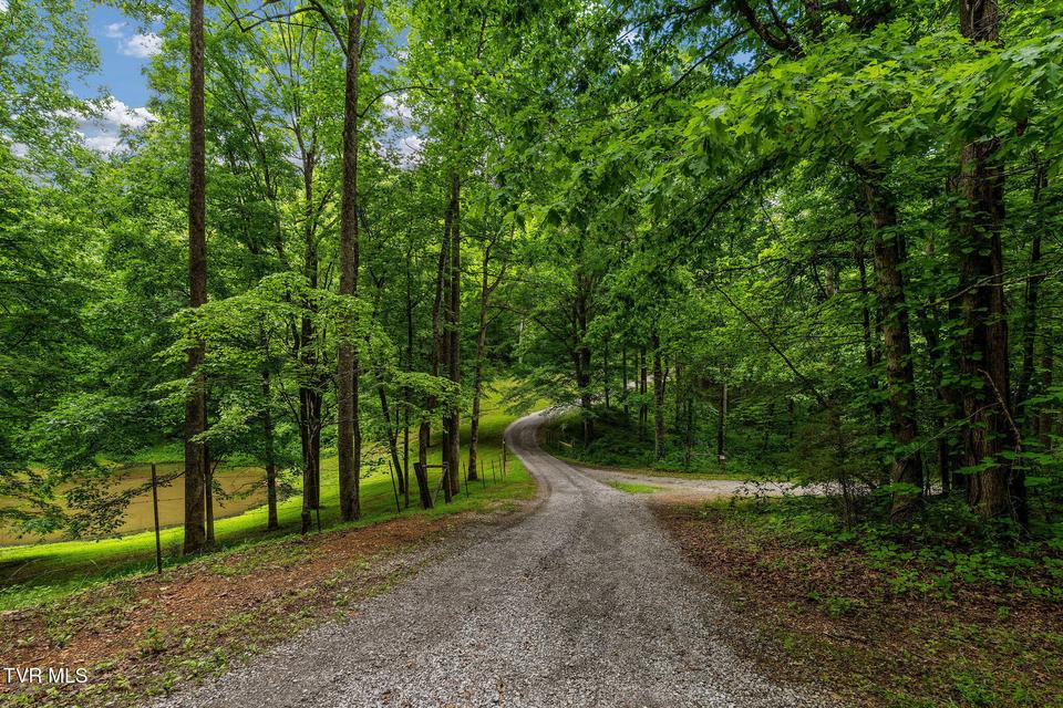 Photo #43: 393 Holt Ridge Road