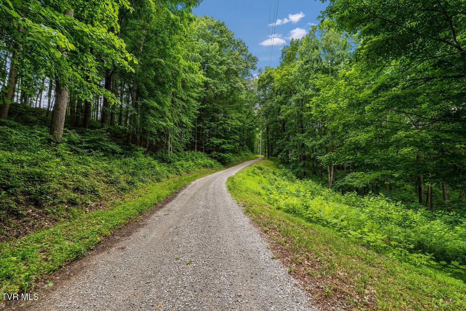 Photo #42: 393 Holt Ridge Road