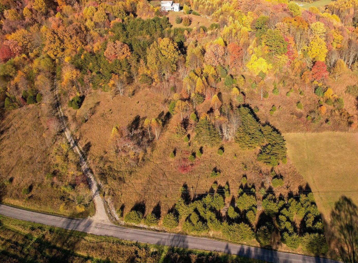 Tbd Lot 4 Crossroads Place , Hansonville, Virginia 24266 — Apple.Re