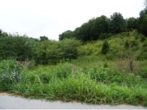 1st photo of Lot 1 Roaring Fork Road