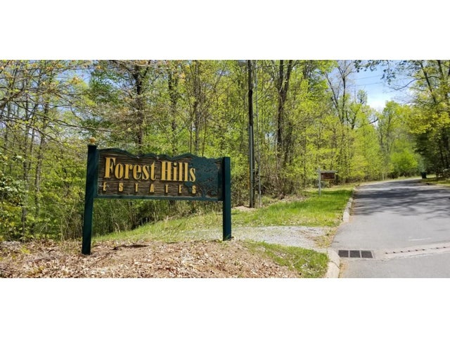 1st photo of Tr 9 Mountain Laurel Court