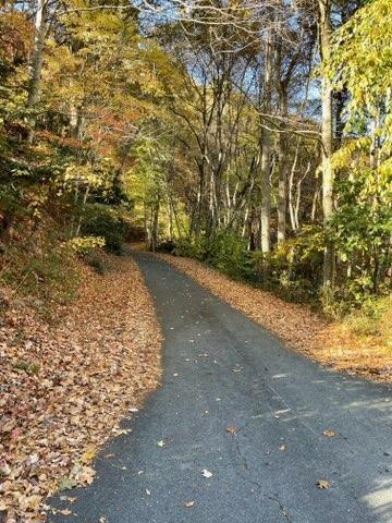 1st photo of 493 Banjo Ridge Road