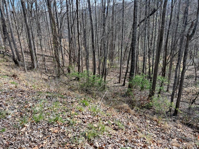 1st photo of Tbd Golf Course Road