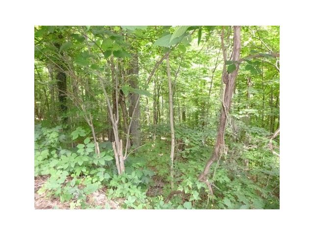 1st photo of Lot 6 Briarwood Road