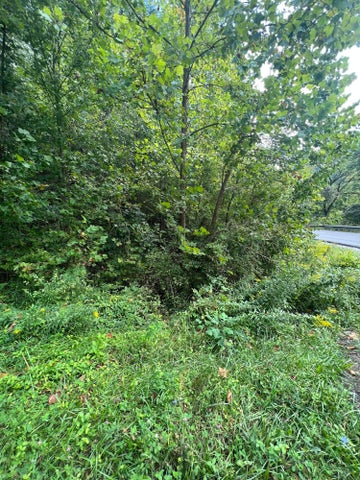 1st photo of Tbd Poga Tract #1 Road