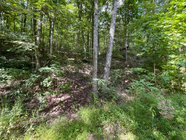 1st photo of 1327 Yellowwood Drive