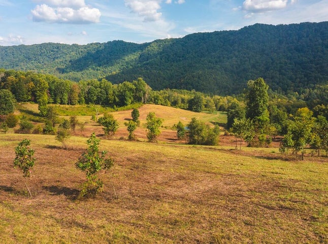 1st photo of 200 Acres War Creek Road