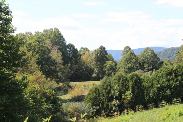 1st photo of Lot #49 Redbud Circle 