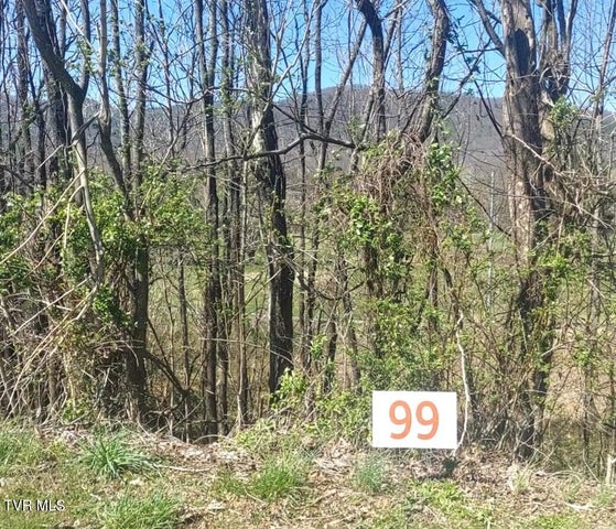 1st photo of Lot 99 Country Club Drive 