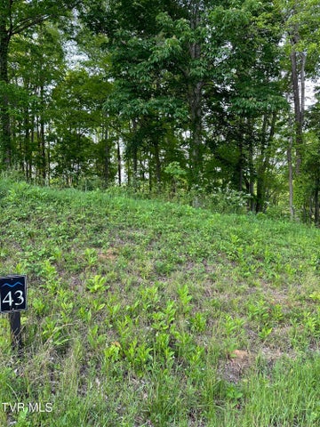1st photo of 000 Lot #43 - Watauga Ridge Road