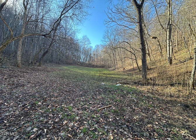 1st photo of Tbd Lick Creek Drive