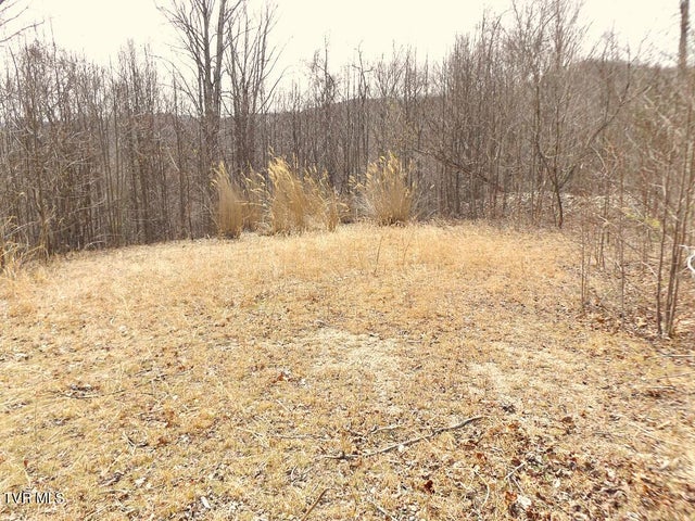 1st photo of 1213 Mays Ridge  Lot 17 Road