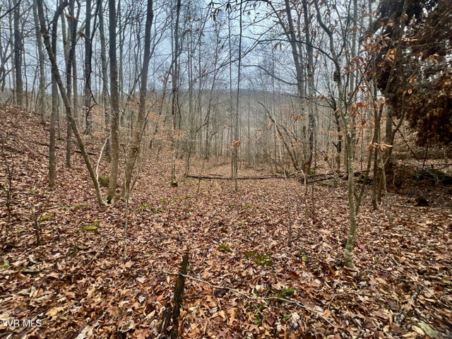 1st photo of 27.4/Ac Tbd Snake Hollow Road