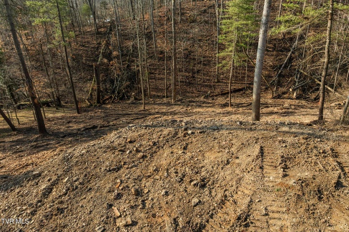 1st photo of 146 Cloudland Drive