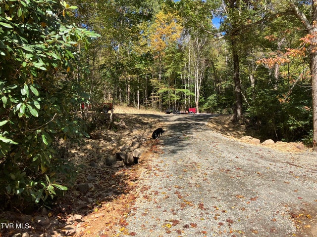 1st photo of 104ac Tbd Fire Tower Road