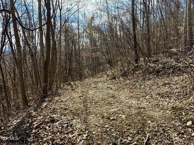 1st photo of Lot 1 Caney Creek Lane