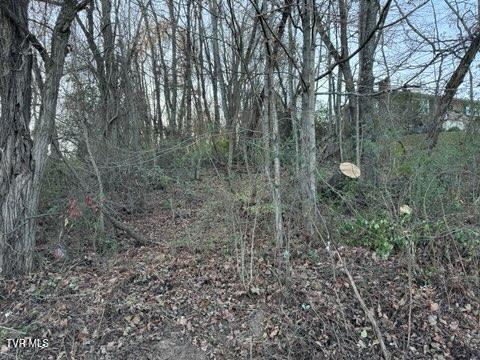 1st photo of Tbd Briscoe Drive