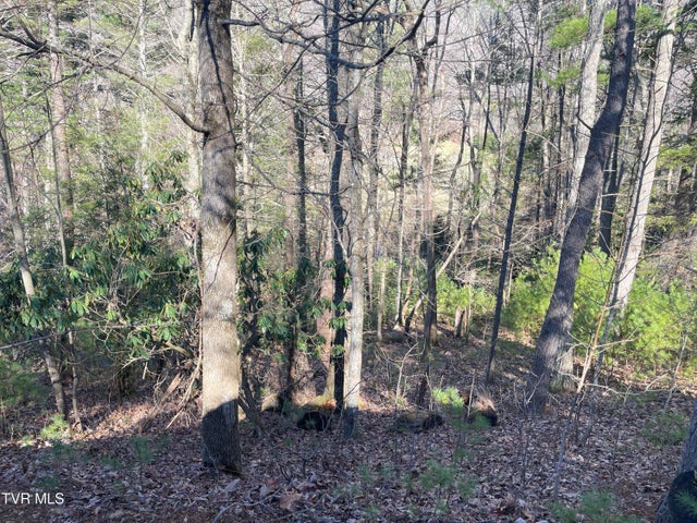 1st photo of 0 York Cabin/Heidi Hill Ln Road
