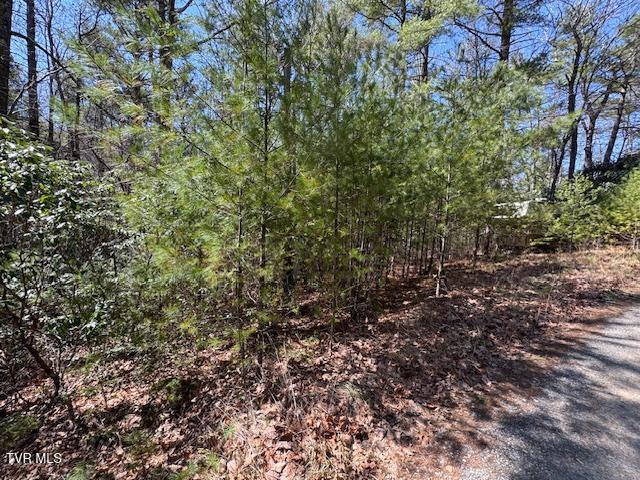 1st photo of 0 Buck Hollow Road