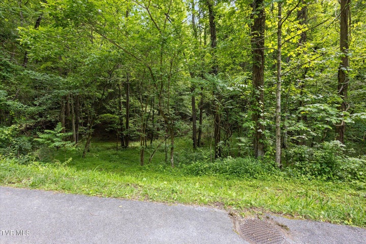 1st photo of Tbd Rich Hollow Road