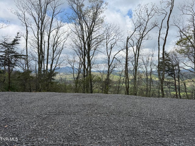 1st photo of 3.93 Acres Green Forest Road