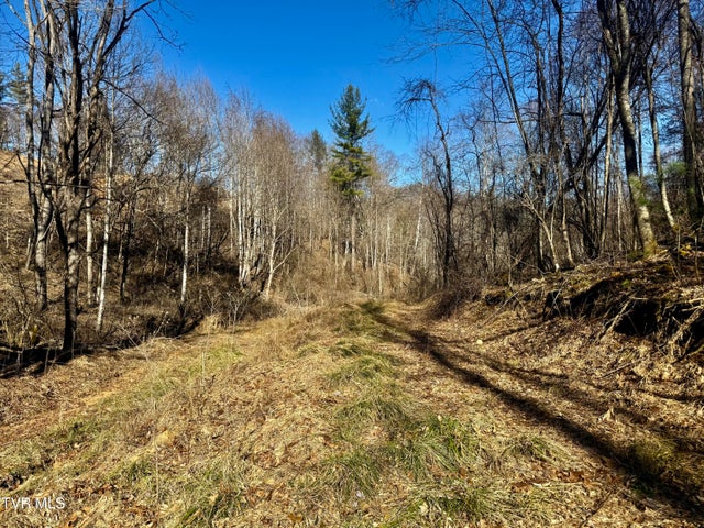 1st photo of 207/Ac Tbd Highway 421