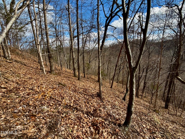 1st photo of Lot 1 Caney Creek Lane