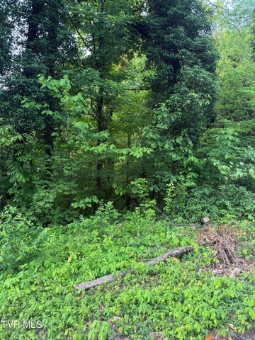 1st photo of Lot 15 Ashley Street