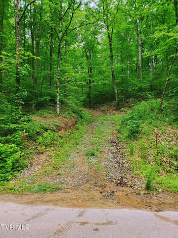 1st photo of 2065 Dyer Hollow Road